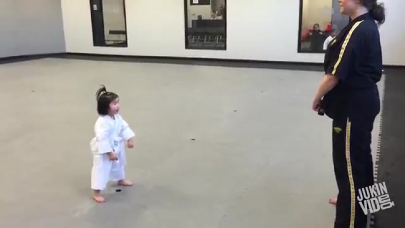 Top 100 Viral Videos Of 2015 Jukinvideo (part 3)