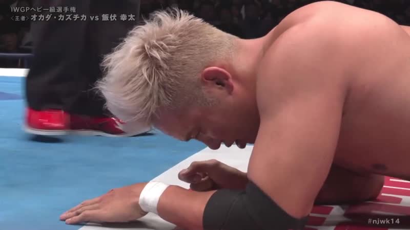 Окада ибуши