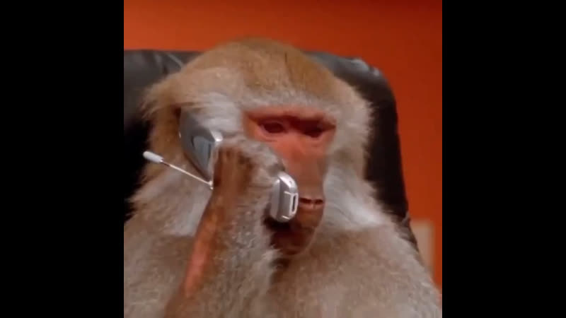 Ничего не надо ты наш братка