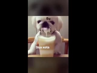 Twitter 20191106 174946 mp4