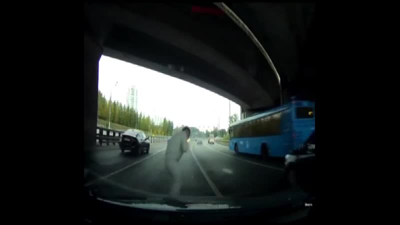 Бесит, когда хочешь спросить дорогу, а в тебя стреляют из ракетницы