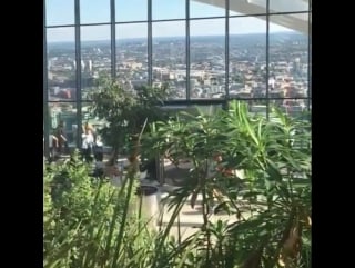 Sky garden jardín en altura #skygarden #sky #gar лондон 09 07 2017