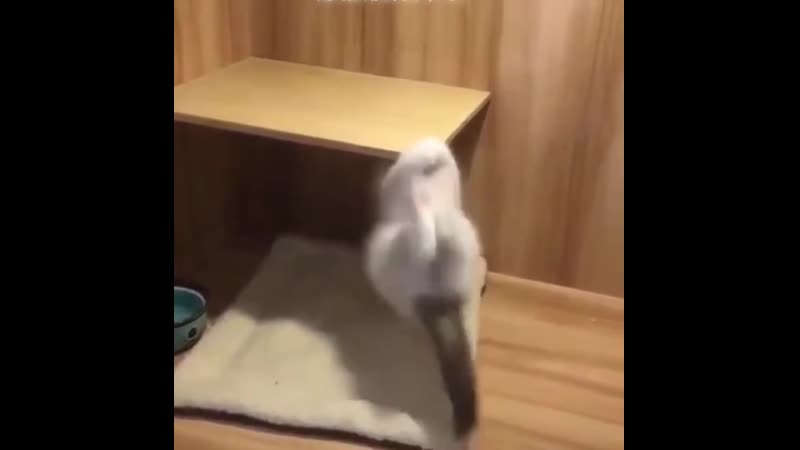 Хорошо позанимался, хорошо отдохни