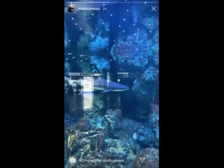 Маркул пристает к милой даме, а она пытается убежать!!!