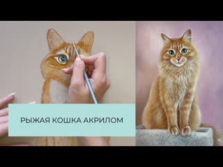 Рыжая кошка акрилом