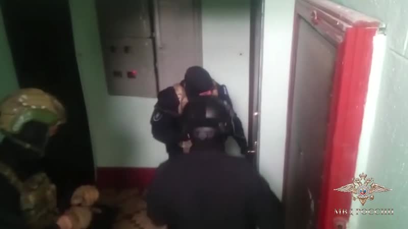 Фсб россии при участии росгвардии пресечена деятельность организованной группы, занимавшейся организацией незаконной миграции