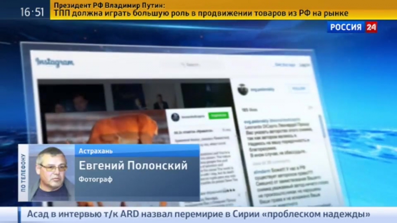 Глава минприроды позвал ди каприо в россию спасать сайгаков
