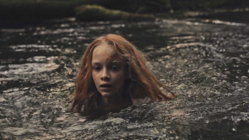 Тяни толкай дай мне знак