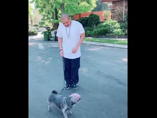 Марас шакур флексит