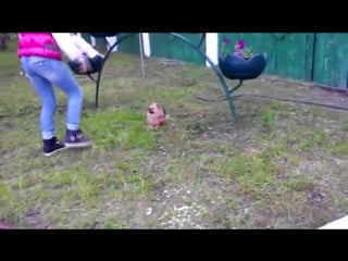 Желтые nika jess