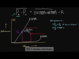 Получение значения ea (артериальной эластичности) из петли до