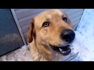 Trim 20191206 092653 mp4