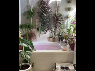 🌿растения в ванной комнате🛁 mp4