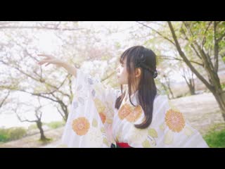 【きりり】夢と葉桜【踊ってみた】 niconico video sm38531789