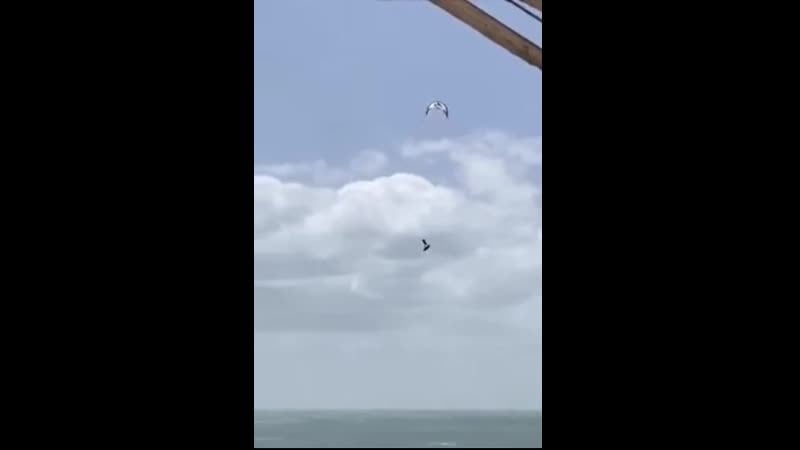 Воздушный сёрфинг