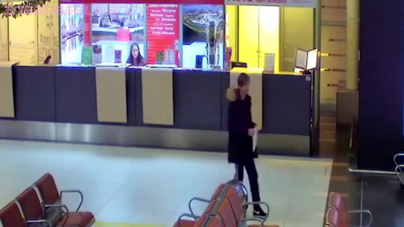 Webm гонщик не легальный