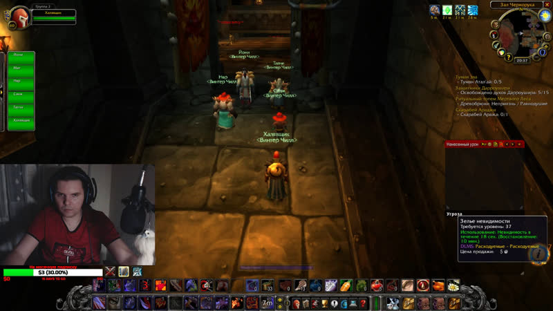 Гильдия "винтер чилл" чаримся, запасаемся допингом перед мк/ониксия!