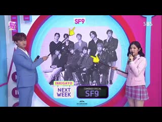 190217 sf9 comeback stage with ‘예뻐지지 마’ on sbs inkigayo on sunday, february 24th at 3 50pm kst