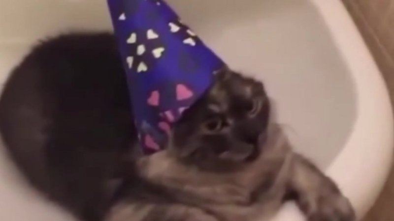 Фантастические твари и где они обитают (русский трейлер) (6 sec)