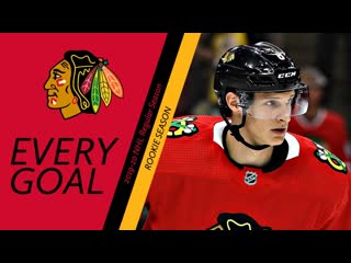 Dominik kubalik (#8) 2019 20 reg season all 30 goals chi