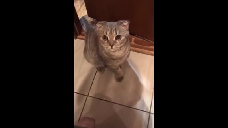 Когда 5 минут до этого тебя кастрировали