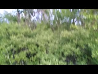 Vid 20200524 202422 mp4