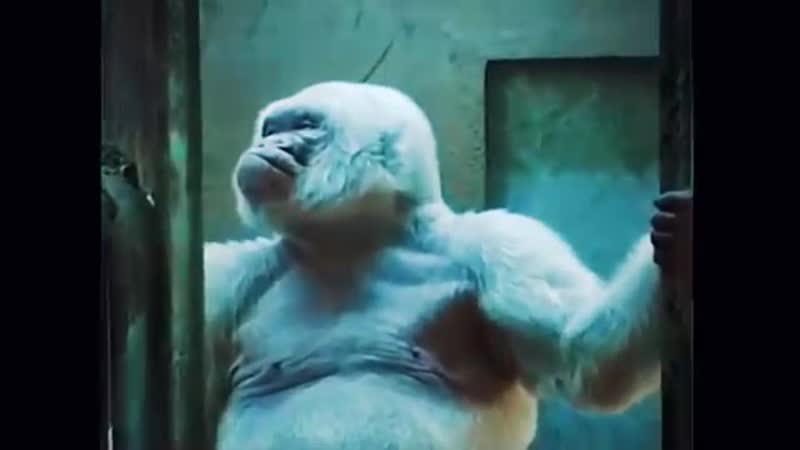 5 самых необычных молодые 2ч