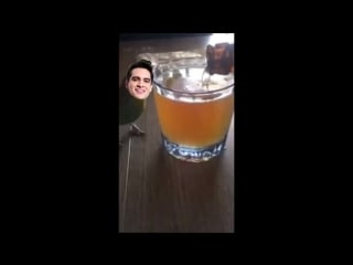 Drunk beebo папуг