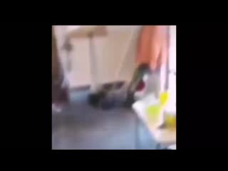 Sieg hoika has capitulated full hd 1080p (1) mp4