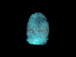 Biometric fingerprint scanner