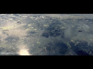 Chernobyl drone swan lake чаэс лебединое озеро