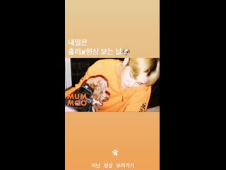 Instastory upd band lucy 200703