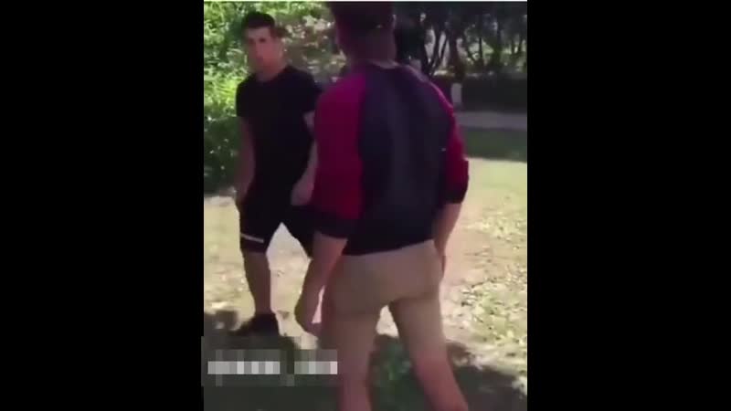 Анимешники поссорились [рофлы и панчи]