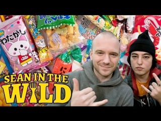 Joji and sean evans review japanese snacks sean in the wild