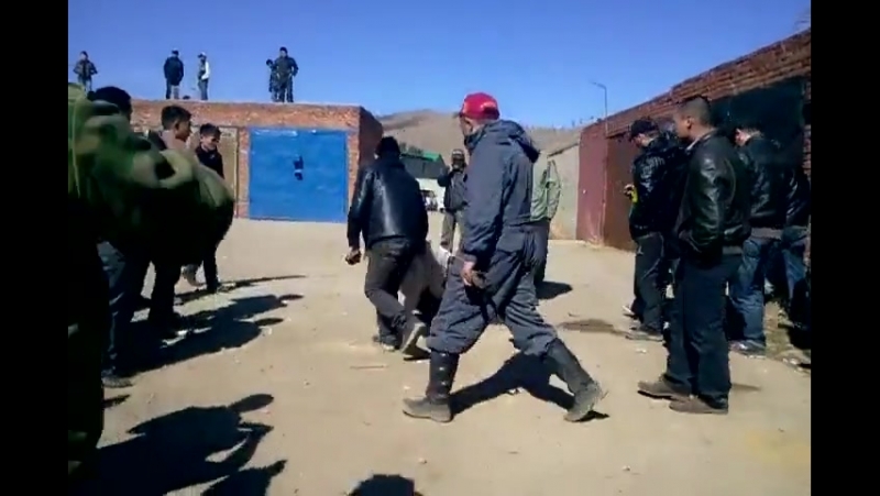 Собачьи бои банхар (монгольская овчарка) vs сао алабай