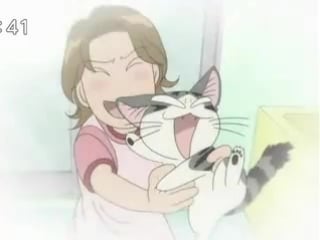 Милый дом чии (chi's sweet home) 2 новый дом 007(111)