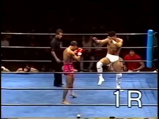 Pwfg professional wrestling fujiwara gumi grand opening 4th 8 23 91