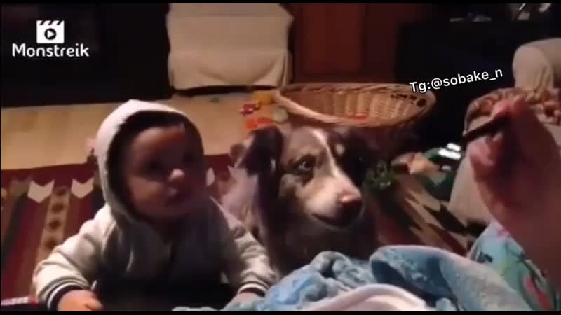 Учили ребёнка, а научили молодые 🙂