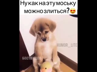 Video by mikhail arkhipov