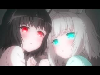 Chocola, vanilla | nekopara