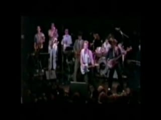 Oingo boingo ain't this the life