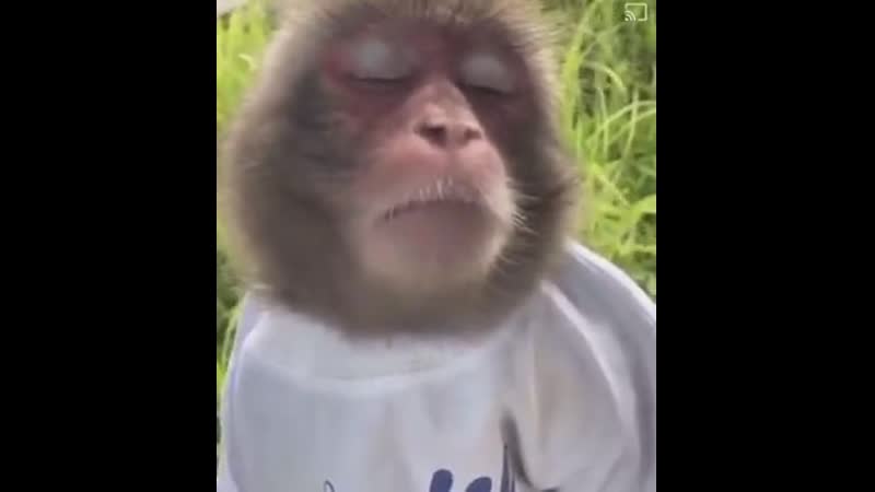 Еда даёт вам энергию я после обеда (vhs video)