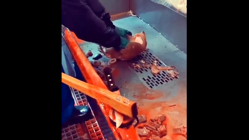 Рассмешил перед разделкой