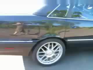 ۩ audi 200 20v quattro ۩