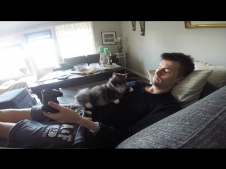Cat wont let me play video games alone