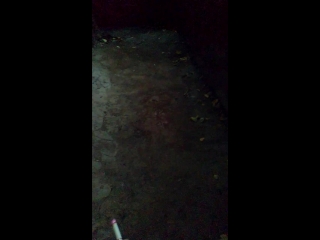 Обзорчик (спиздил из сквада