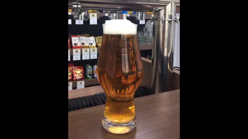 Lager porn video – Salek amber lager