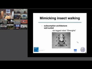 Lecture 8 morphological computation, self organization of behaviors and adaptive morphologies