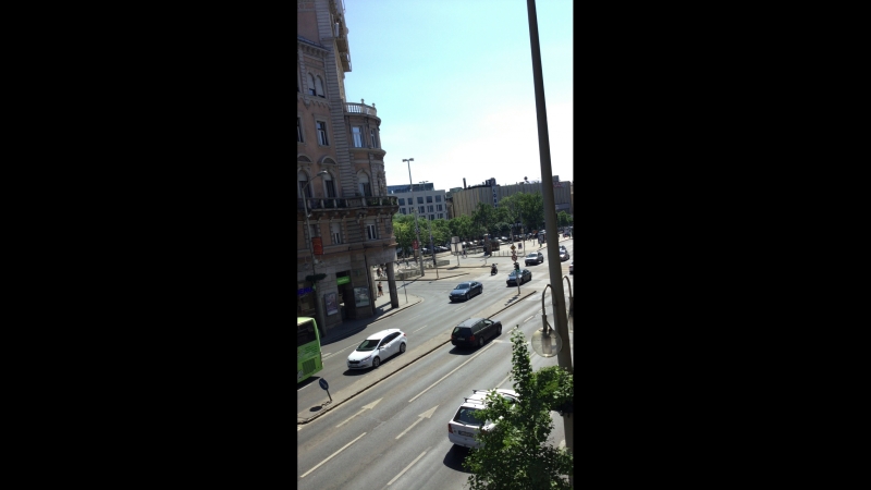 Нежный лосось live