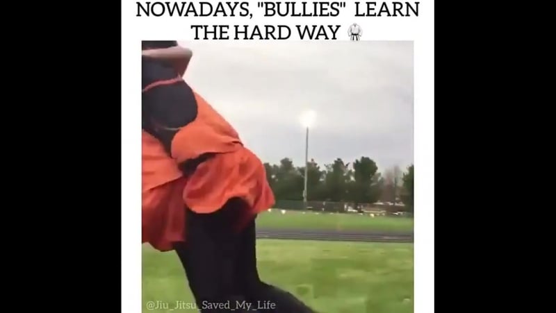 Задира получил достойный отпор